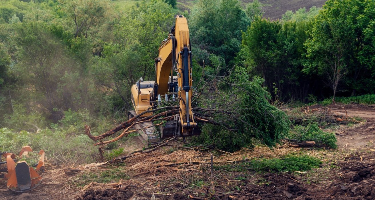 Excavator clearing brush and trees from land