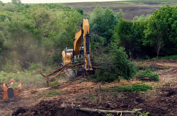 Excavator clearing brush and trees from land